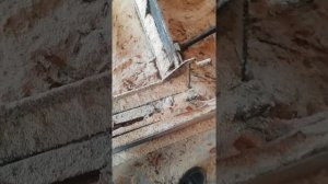 подача леса на пилораму