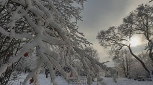 А зима будет большая... К