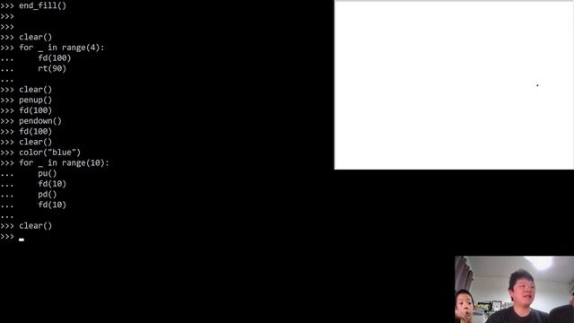 Day 406 - Teaching Kids Programming - Turtle Graphics/Canvas Programming in Python