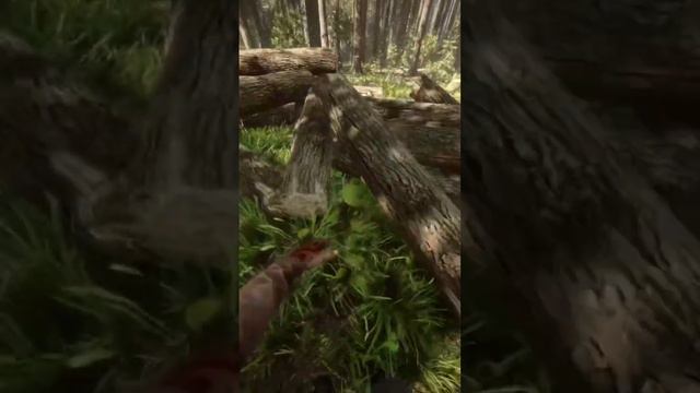 Простой дюп в коопе или как получить бревном в sons of the forest смотреть онлайн