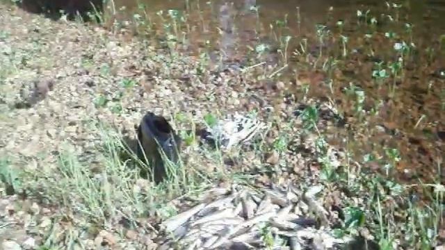 рыбалка хариус смотреть онлайн