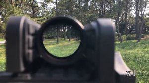 Vector Optics Taurus 1-6 x 24フィールドテスト