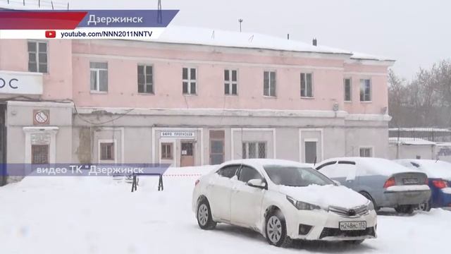 Собак с голубой шерстью в Дзержинске поймали специалисты «Зоозащиты-НН» смотреть онлайн