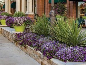 Клумба у крыльца  8 красивых идей