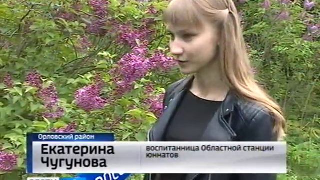 В этом году единственному в Орловской области сирингарию исполняется 50 лет