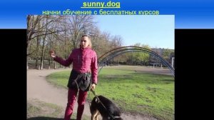 Можно ли бить собаку?  Дрессировка собаки.