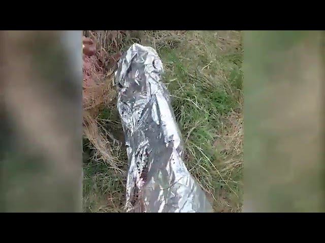 Пойман ещё один участник теробороны Херсона смотреть онлайн