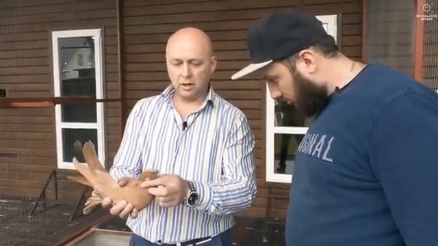Uzbek Pigeons Узбекские голуби смотреть онлайн