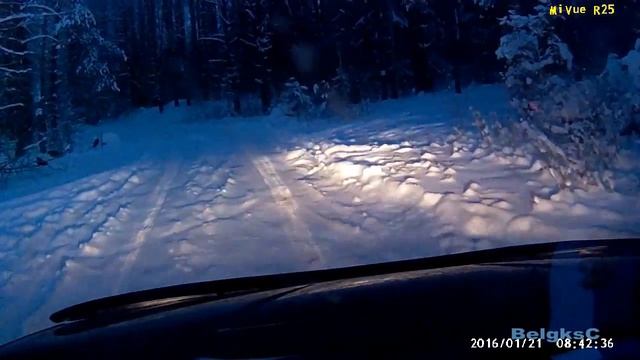 ЧТО ты хочешь? Застольная песня о деньгах и богатстве. смотреть онлайн