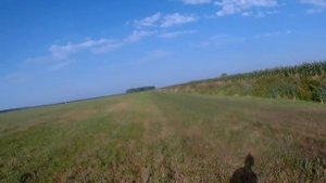 ОХОТА НА УТКУ КАК В ТИРЕ. Первая добычливая охота этого сезона.