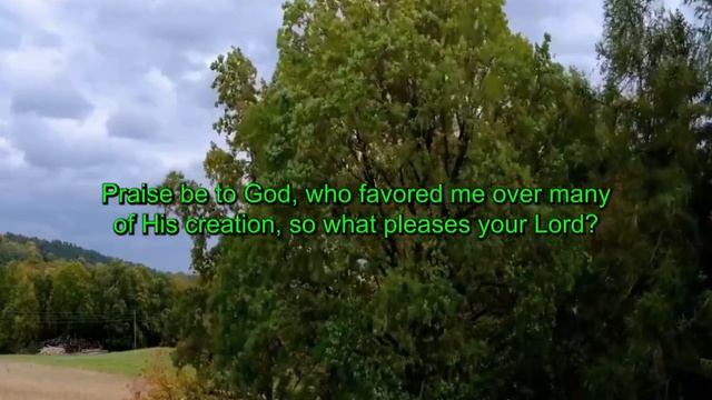 وَمَا مِنْ دَابَّةٍ فِي الْأَرْضِ إِلَّا عَلَى اللَّهِ رِزْقُهَا خطبة مترجمة يؤديها عادل المصري ??? смотреть онлайн