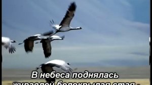 Журавлиная стая - Христианское Караоке