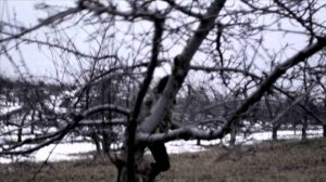 Hammock - Mono No Aware.avi