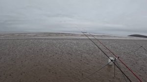 Fish 0f A Lifetime!! Double Figure Bass. Sea Fishing Brean Beach Bristol Channel Shore April 2023