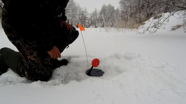 Ловля ЩУКИ на ЖЕРЛИЦЫ на реке. Глухозимье сходит. Зимняя рыбалка 2021. смотреть онлайн