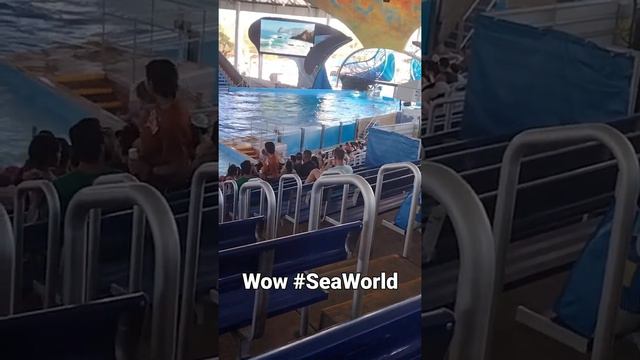 Wow #seaworld