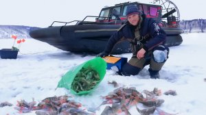 ПРИЛИПЛИ КОНКРЕТНО! Проверили жерлицы, поймали мешок рыбы! 2я часть рыбалки с ночёвкой