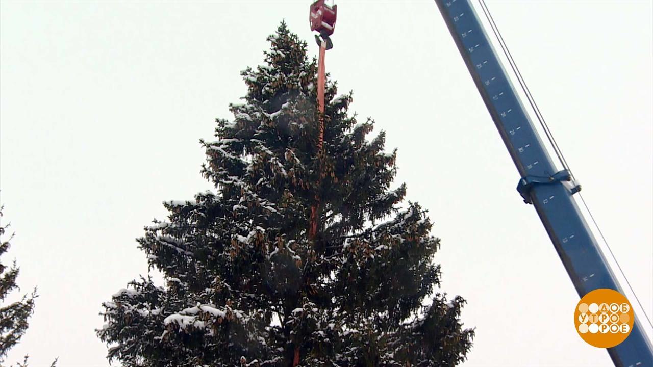 Главная елка страны: в Москву, в Москву, в Москву... Доброе утро. Фрагмент выпуска от 14.12.2023