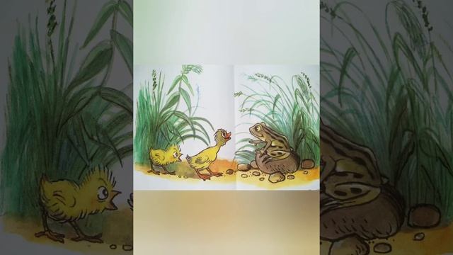 Сказка В. Сутеева "Цыпленок и утенок" смотреть онлайн