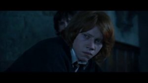 Рон и Гермиона   Ревность