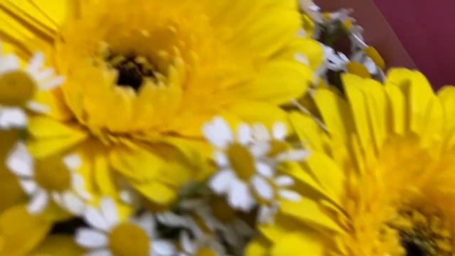 Букет из 11 желтых гербер и 15 матрикарий смотреть онлайн