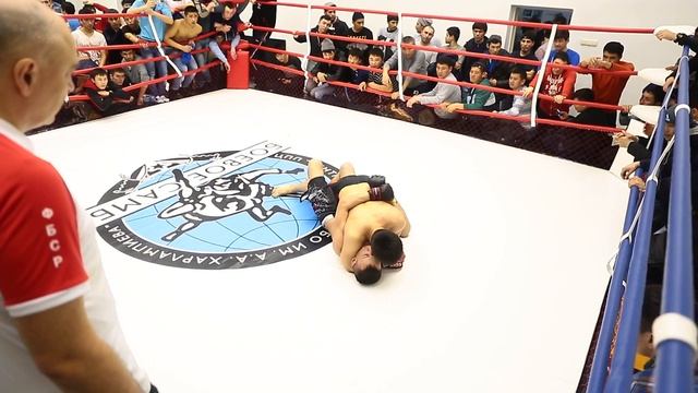 7.02.16 Проф Боевое Самбо «КУБОК МОСКВЫ» Новички смотреть онлайн