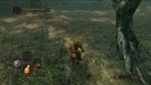 ГАЙД Как БЫСТРО пройти Темнолесье и дойти до Дверей Фарроса в Dark Souls 2 (нужна ветвь былого)