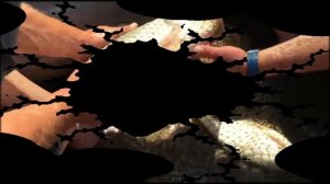 Недорогие рыболовные сети интернет магазин