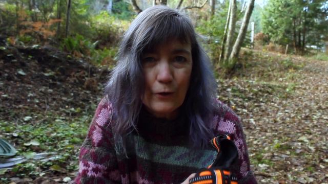 Harnesses For Dogs смотреть онлайн