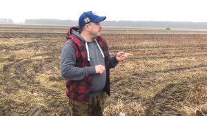 Обрезка и подкормка ремонтантной малины Весной