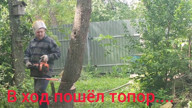 Продолжаем модернизацию дачи: спиливаем деревья, чтобы снести дом смотреть онлайн