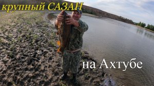 Ловля  САЗАНА на Ахтубе.Много крупного КАРАСЯ на донку.