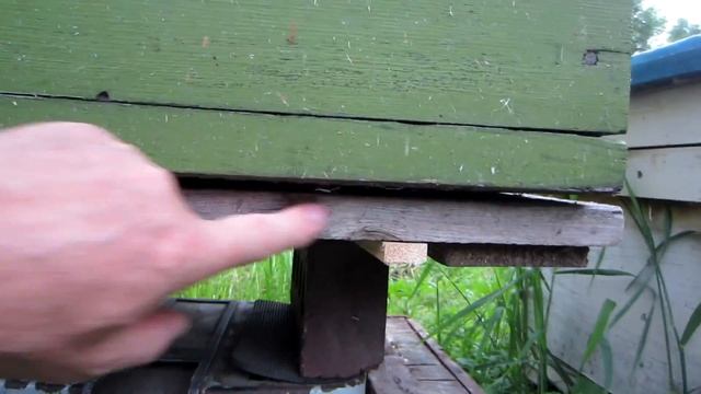 Бюджетные весы на пасеке для контрольного взвешивания улья смотреть онлайн