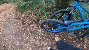 MAXXIS DTH VS MAXXIS HOLY ROLLER