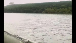Pontoon21 Greedy Guts 55 SP MDR