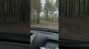 дорога на озеро Мостовое. Тюмень