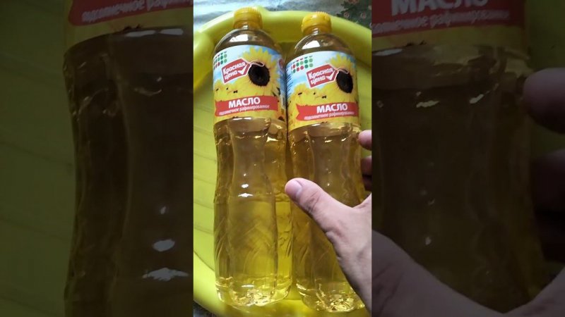 МАСЛО ПОДСОЛНЕЧНОЕ ИЗ ТАТАРСТАНА #shorts