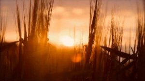 Истинное Я превосходит Вселенную.mp4