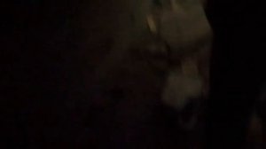 Заброшенный жуткий подвал ЛТП г. Астрахань.