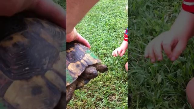 IMG 7096 смотреть онлайн