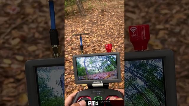 FPV in the forest hawkeye little pilot fpv monitor смотреть онлайн