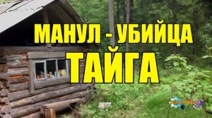 0859 - КОТ МАНУЛ ЗАГРЫЗ ГРАБИТЕЛЕЙ _ ЕГЕРЬ В ЗАПОВЕДНИКЕ _ ЖИЗНЬ В ТАЙГЕ.mp4