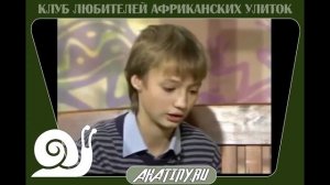 Улитки Ахатина и Архахатина. В чем различие, питание, уход и содержание.