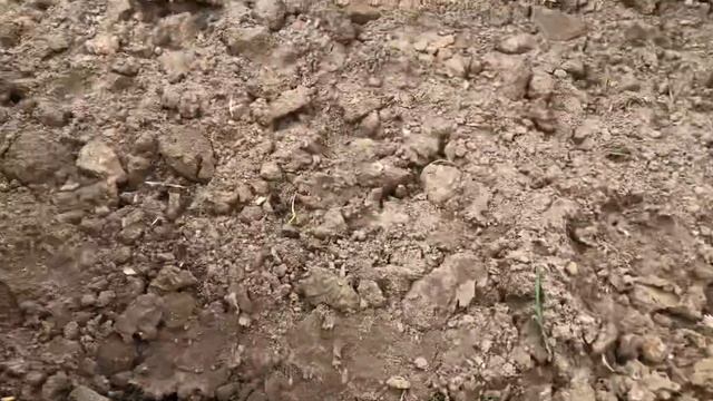 Глиняный замок на высокой грядке. смотреть онлайн