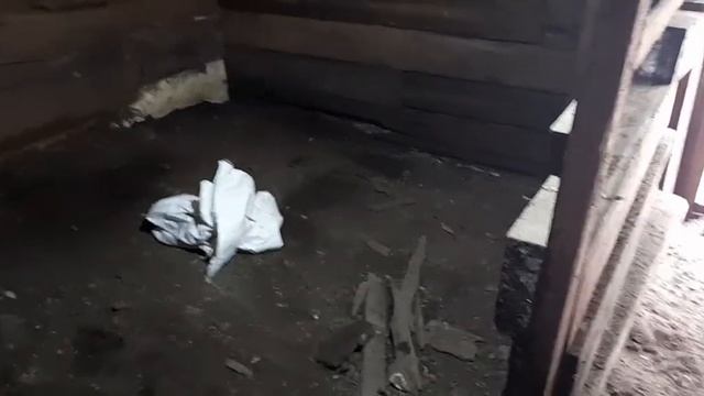 Опорос у свинки. Планы на будущее. Баня. Огород.Продажа поросят смотреть онлайн