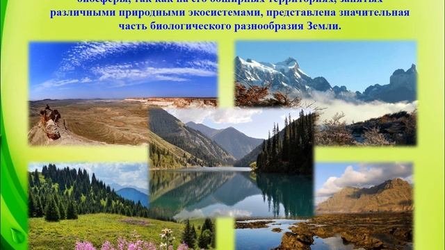 Видео-урок «Природа. Экология. Человек»