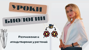 Размножение и оплодотворение у растений