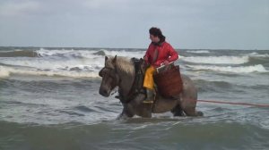 PÊCHEURS À CHEVAL D'OOSTDUINKERKE