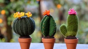 Восхитительные цветы кактусы вязанные крючком. 30 идей