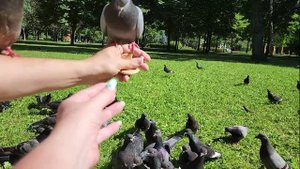 СУПЕРЛУНИЕ Отдыхаем Загораем Сливаемся с природой Светлана ВЕДА